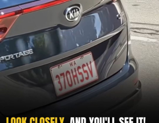 Absolutely Hilarious License Plates We’ve Seen In A While